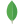 MongoDB